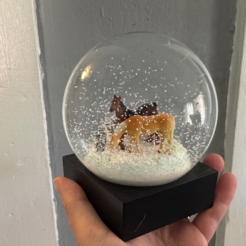 Horse Snow Globe with Black Base